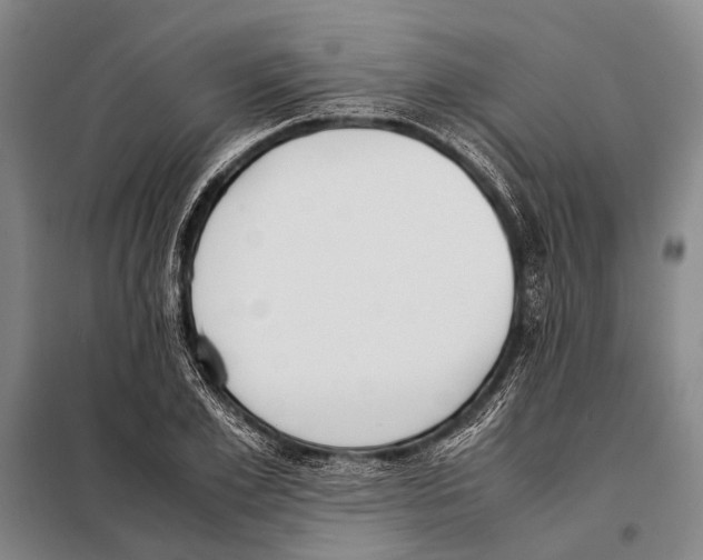 X0000097980981200804211033