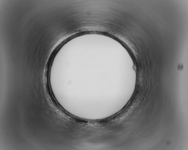 X0000097980983200804211033