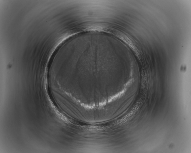 X0000097980984200804211033