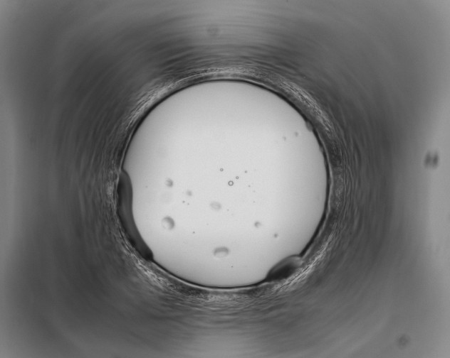 X0000097980985200804211033