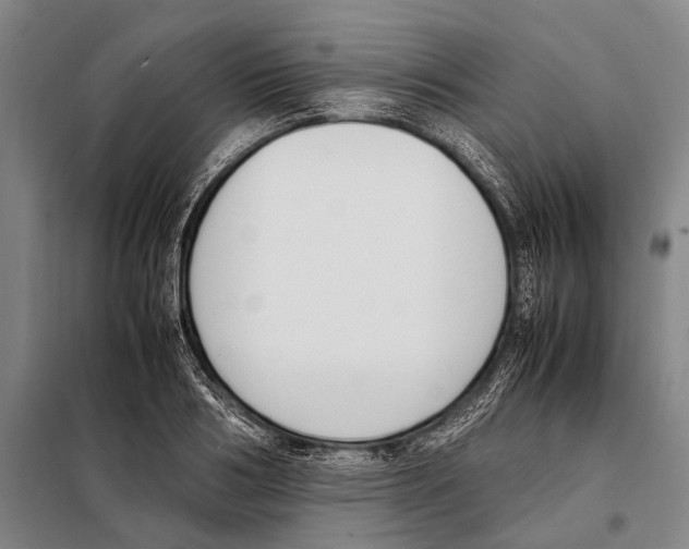 X0000097980986200804211033