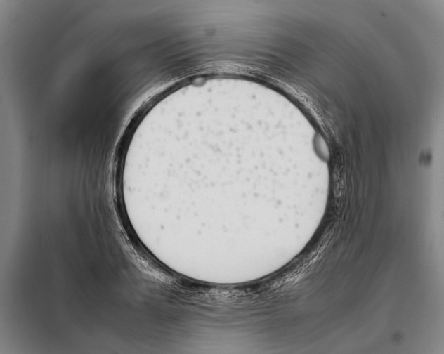 X0000097980987200804211033