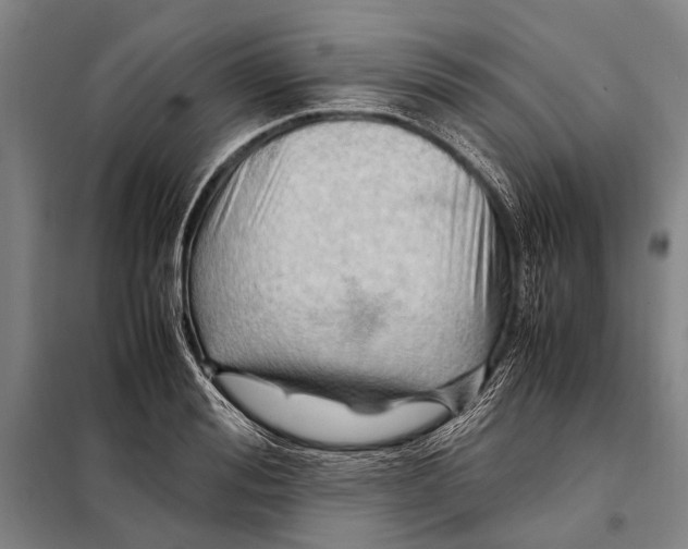 X0000097980988200804211033