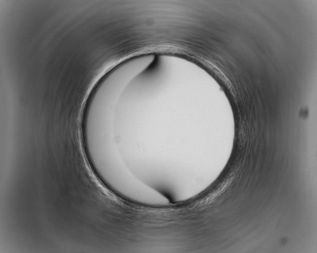 X0000097980989200804211033