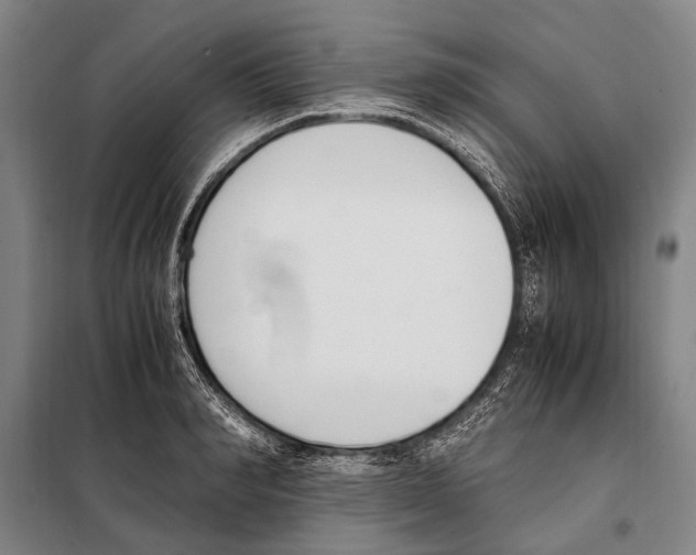 X0000097980990200804211033