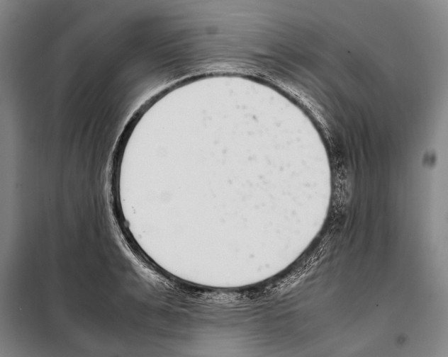 X0000097980991200804211033