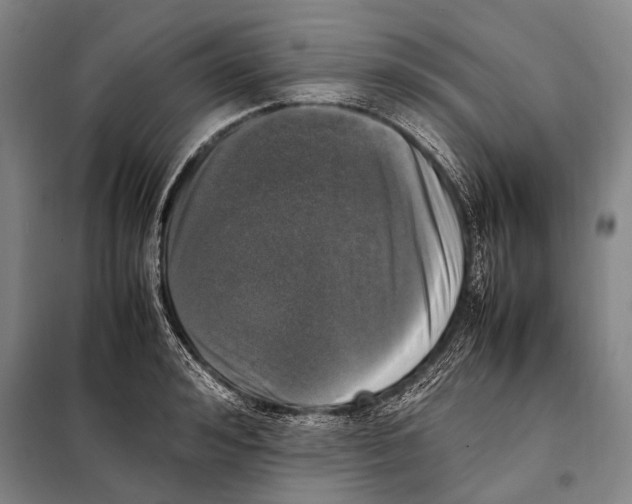 X0000097980992200804211033