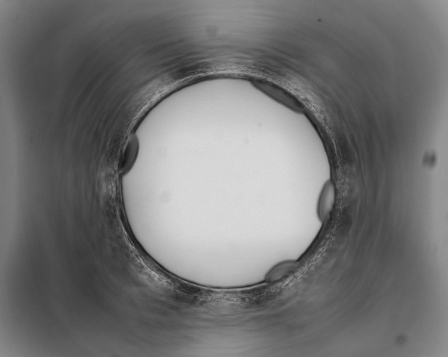 X0000097980993200804211033