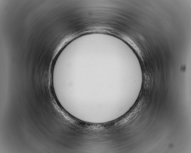 X0000097980994200804211033