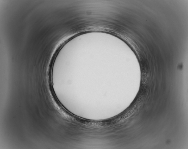 X0000097980995200804211033