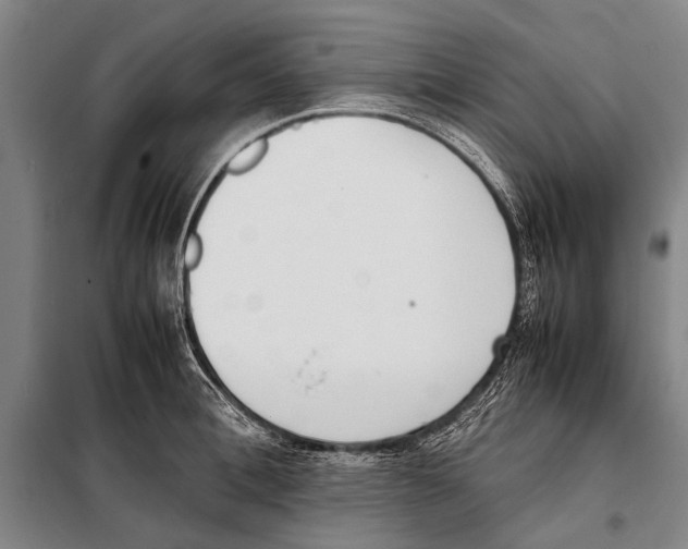 X0000097980996200804211033