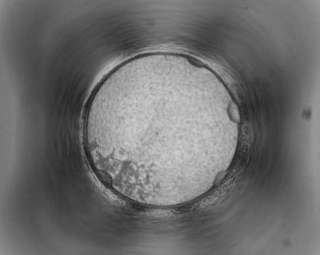 X0000097980998200804211033