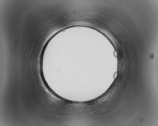 X0000097980999200804211033