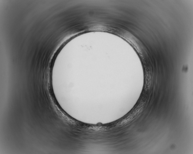 X0000097981000200804211033