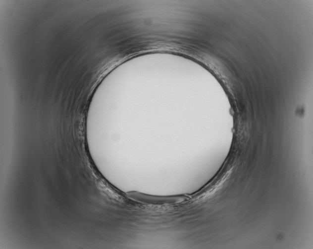 X0000097981001200804211033