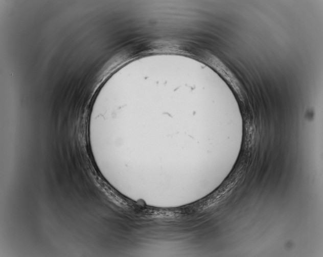 X0000097981002200804211033