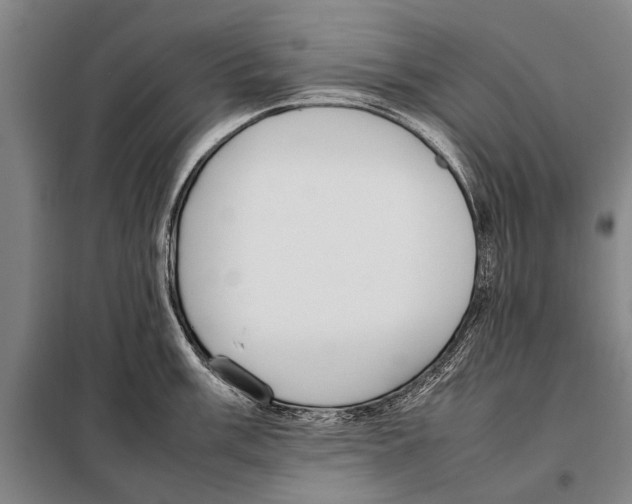 X0000097981003200804211033