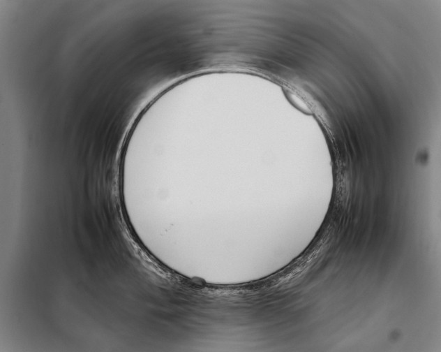 X0000097981004200804211033