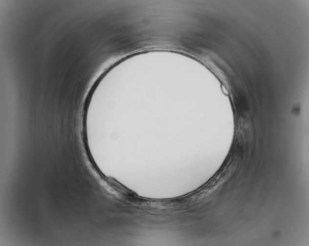 X0000097981005200804211033