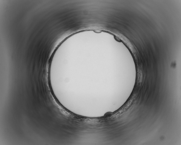 X0000097981006200804211033