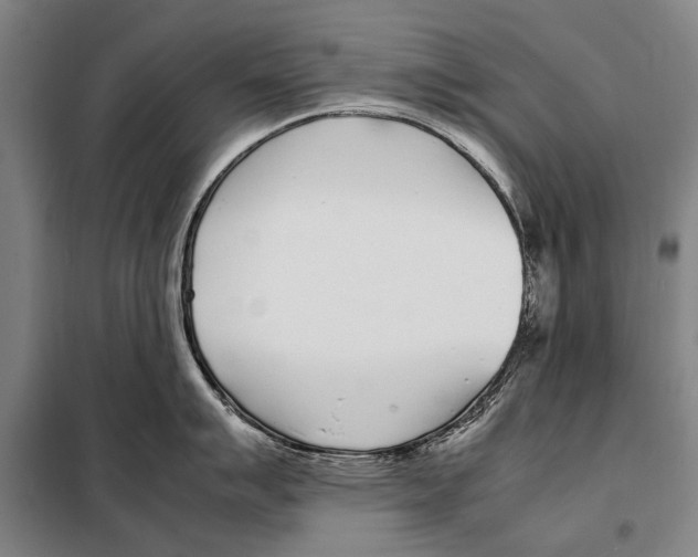 X0000097981007200804211033