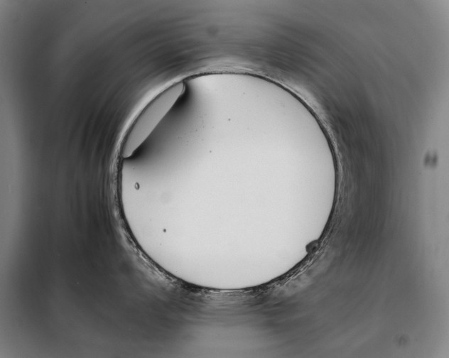 X0000097981008200804211033