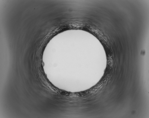 X0000097981009200804211032