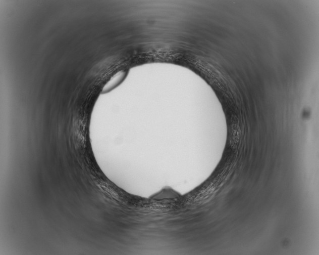 X0000097981010200804211032