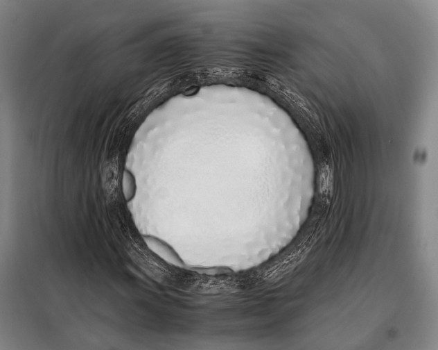 X0000097981011200804211032