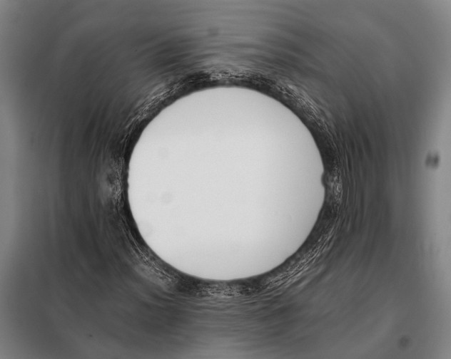 X0000097981012200804211032