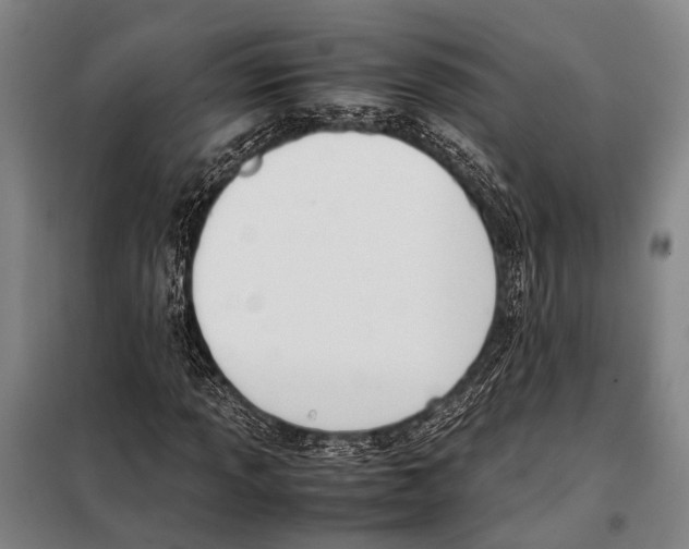 X0000097981013200804211032