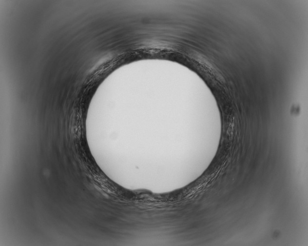 X0000097981014200804211032