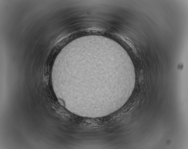 X0000097981015200804211032