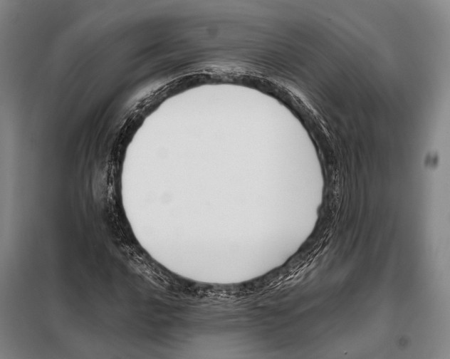 X0000097981016200804211032