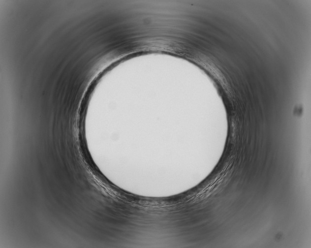 X0000097981020200804211032