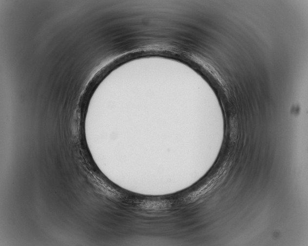 X0000097981021200804211032