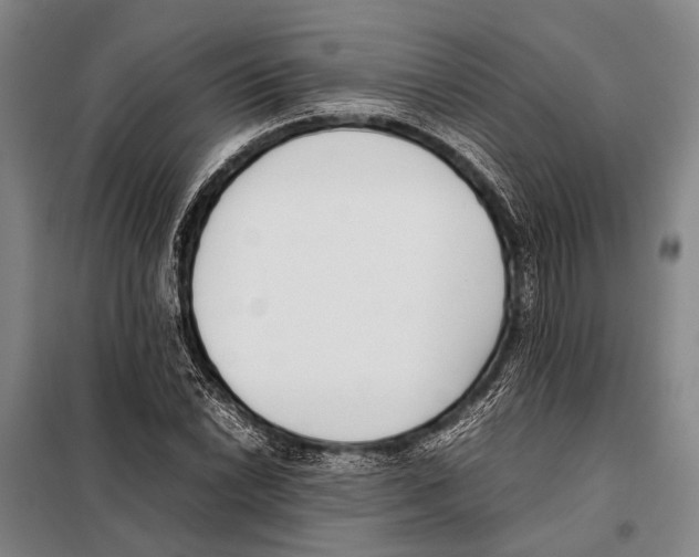 X0000097981022200804211032