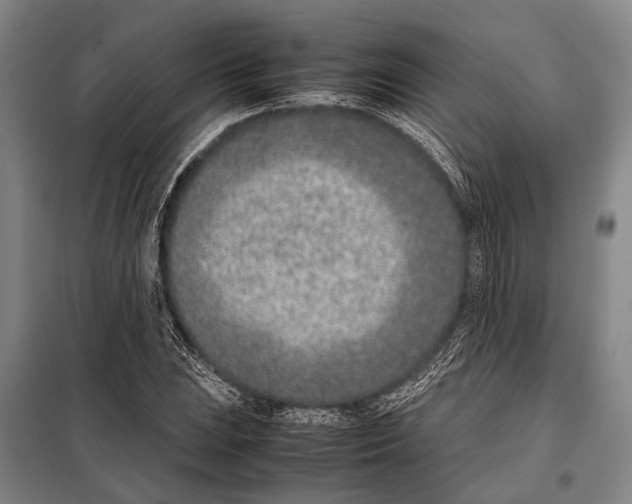 X0000097981023200804211032