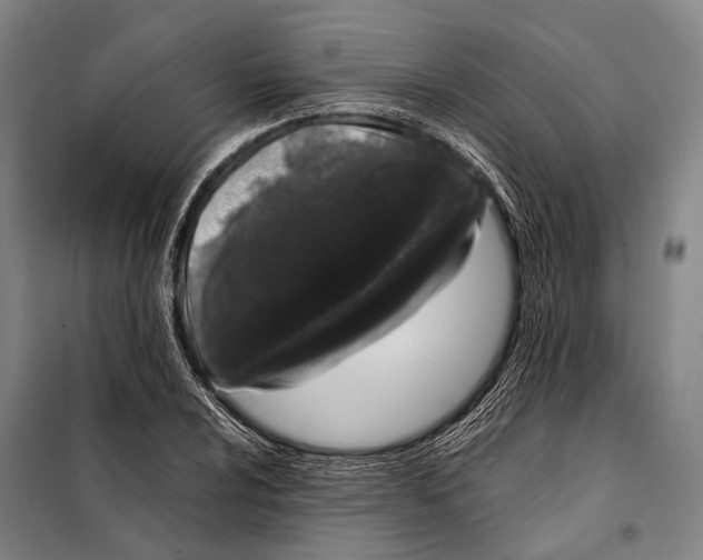 X0000097981024200804211032