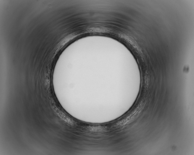 X0000097981025200804211032