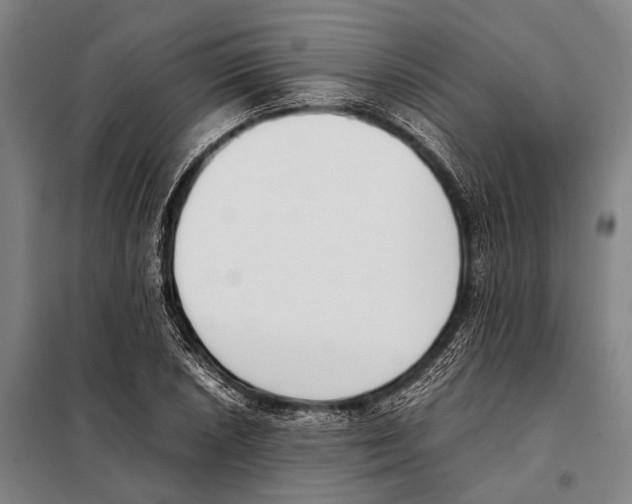 X0000097981026200804211032