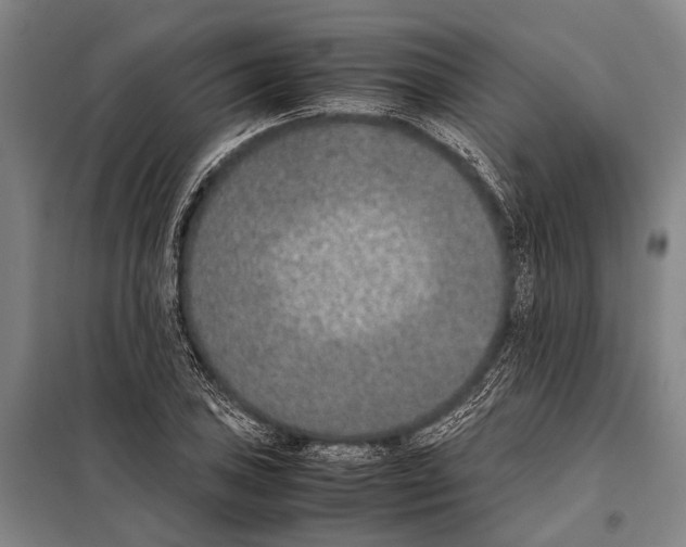 X0000097981027200804211032