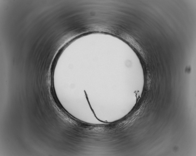 X0000097981028200804211032