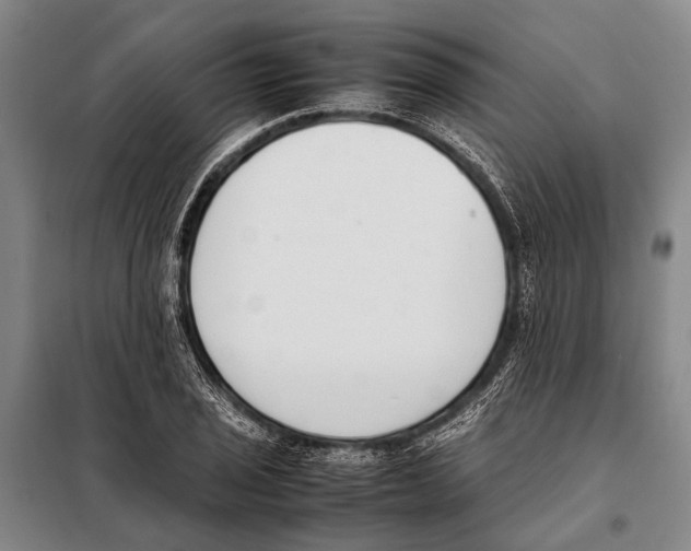 X0000097981029200804211032