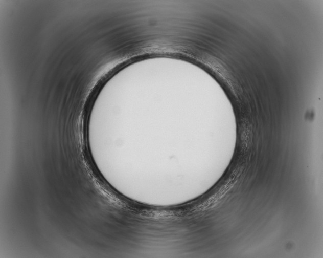 X0000097981030200804211032