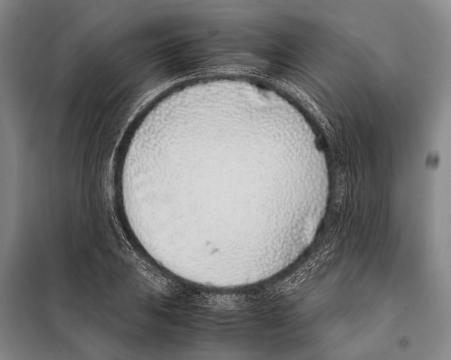 X0000097981031200804211032