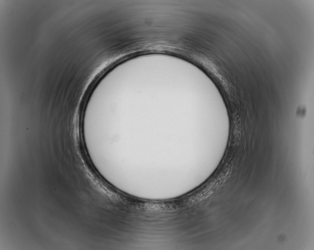 X0000097981032200804211032