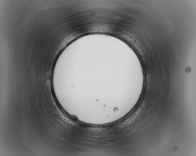 X0000097981033200804211032