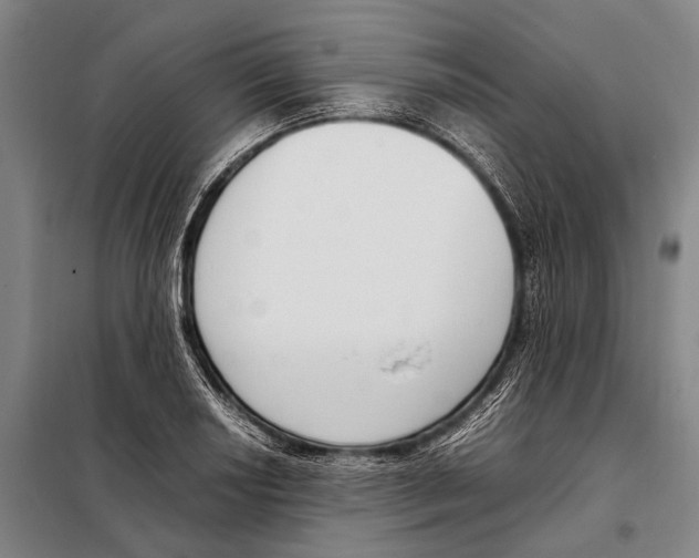 X0000097981034200804211032