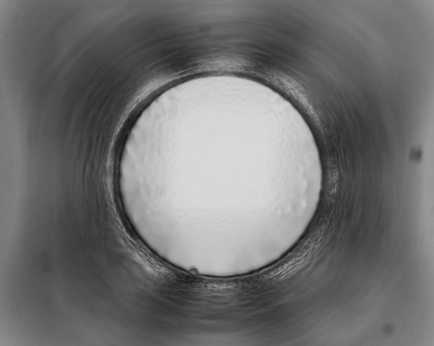 X0000097981035200804211033